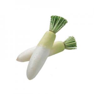 2026白萝卜十大品牌排行榜