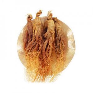 2026红参十大品牌排行榜