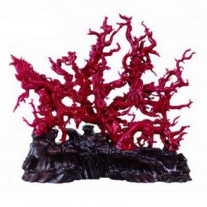 2026珊瑚十大品牌排行榜