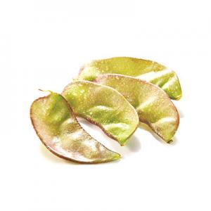 2026扁豆十大品牌排行榜