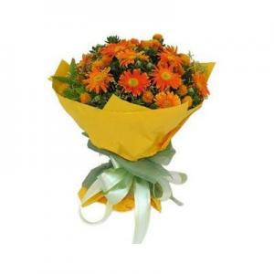 2026非洲菊十大品牌排行榜