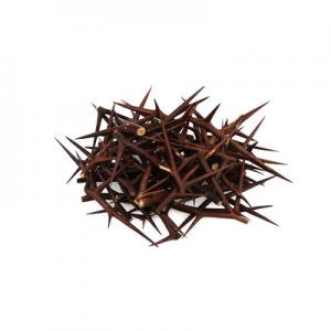 2026皂角十大品牌排行榜