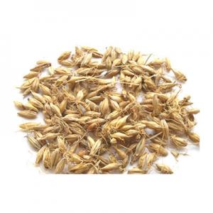 2026麦芽十大品牌排行榜