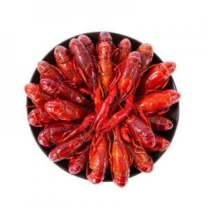 2026口味虾十大品牌排行榜