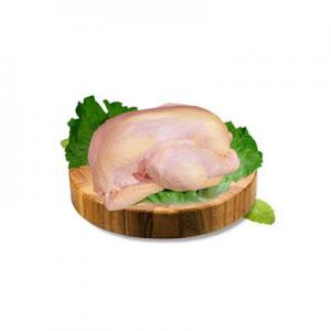 2026三黄鸡十大品牌排行榜