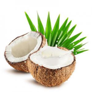 2026椰汁十大品牌排行榜