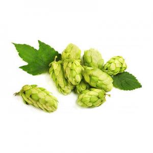 2026啤酒花十大品牌排行榜