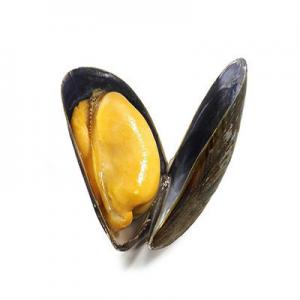 2026贻贝十大品牌排行榜