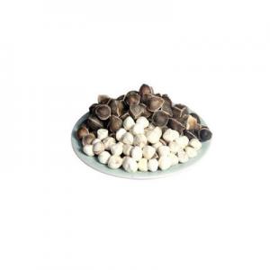 2026辣木十大品牌排行榜