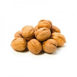 2026胡桃十大品牌排行榜