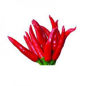 2026朝天椒十大品牌排行榜