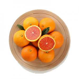 2026血橙十大品牌排行榜