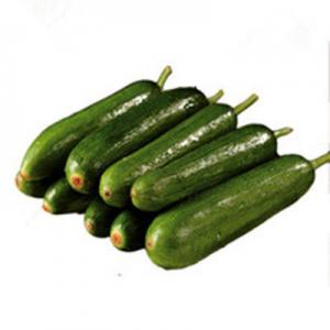 2026小黄瓜十大品牌排行榜