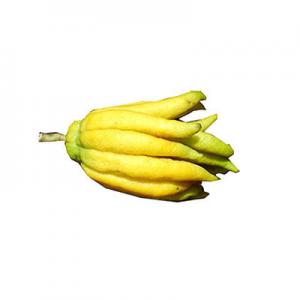 2026佛手柑十大品牌排行榜