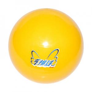 2026气排球十大品牌排行榜