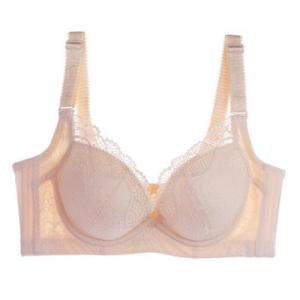 2026聚拢文胸十大品牌排行榜