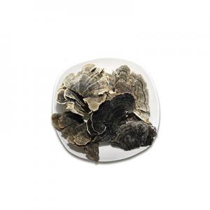 2026云芝十大品牌排行榜