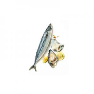 2026青花鱼十大品牌排行榜