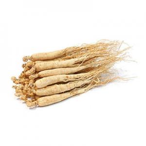 2026白参十大品牌排行榜