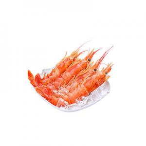 2026海虾十大品牌排行榜