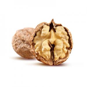 2026山核桃十大品牌排行榜