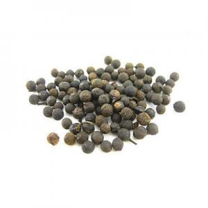 2026山苍子十大品牌排行榜