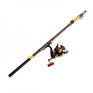 2026矶钓竿十大品牌排行榜