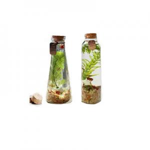 2026水晶虾十大品牌排行榜