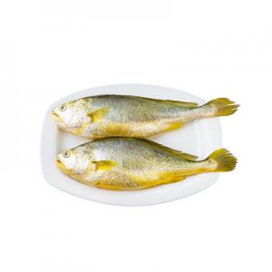 2026海水鱼十大品牌排行榜