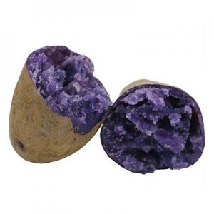 2026黑土豆十大品牌排行榜