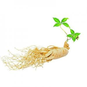 2026补品十大品牌排行榜