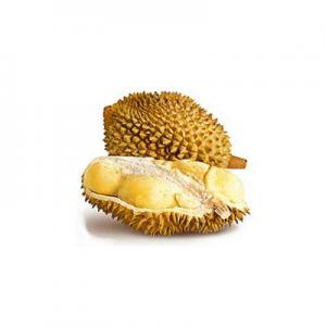 2026金枕头十大品牌排行榜