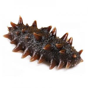 2026大连海参十大品牌排行榜