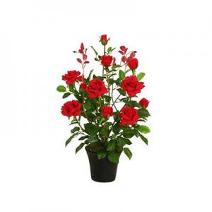 2026绿玫瑰十大品牌排行榜