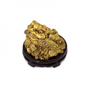 2026金蟾蜍十大品牌排行榜