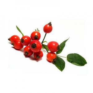 2026玫瑰果油十大品牌排行榜