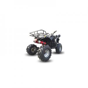 2026沙滩摩托十大品牌排行榜