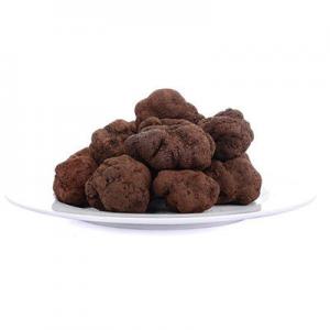 2026黑蘑菇十大品牌排行榜