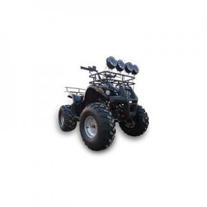 2026沙滩摩托车十大品牌排行榜