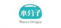 水分子