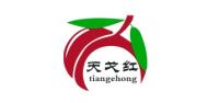 天戈红