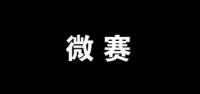 微赛汽车用品