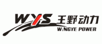 王野