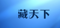 寶藏天下