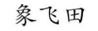 象飞田
