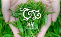 浙星茶叶