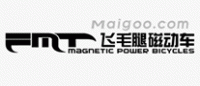 飞毛腿fmt