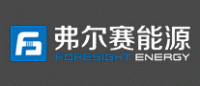 弗尔赛能源