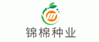 锦棉种业