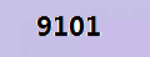 9101